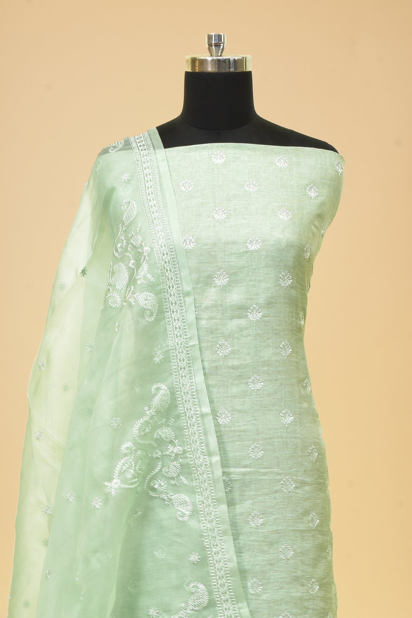 Tissue Embroidered Suit