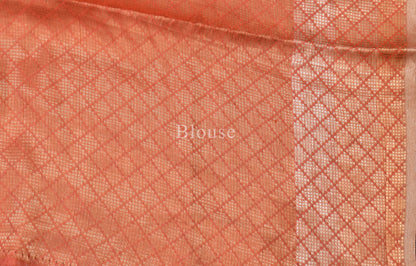 Tissue Plain Saree