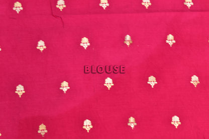 Tissue Plain Saree