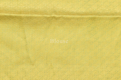 Tissue Cutwork Saree