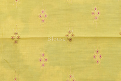 Tissue Cutwork Saree